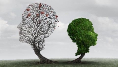 Refuting the Virgin Birth